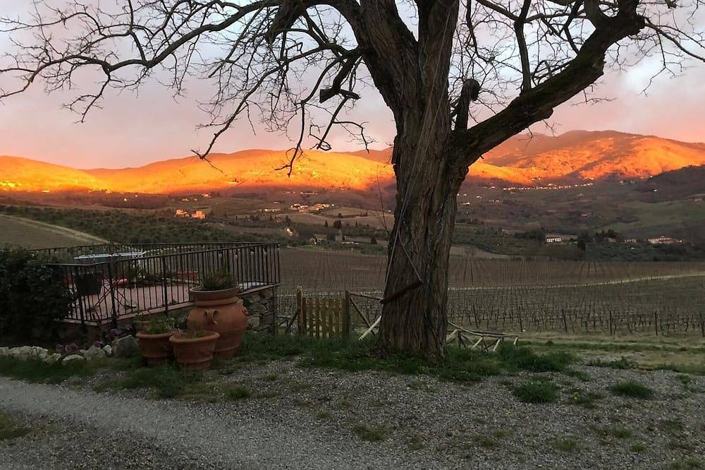Azienda Agricola Il Poggiolino in Pelago, Chianti