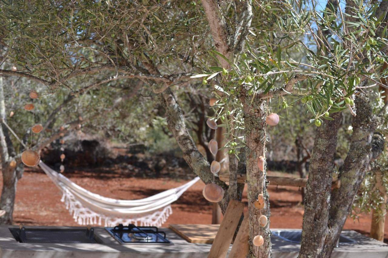Glamping Algarve Olive Tree Lodge in São Bartolomeu de Messines, Faro District