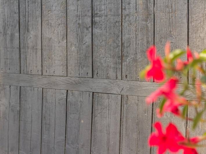 Gîte für 3 Personen, mit Haustier in Burgund - 4