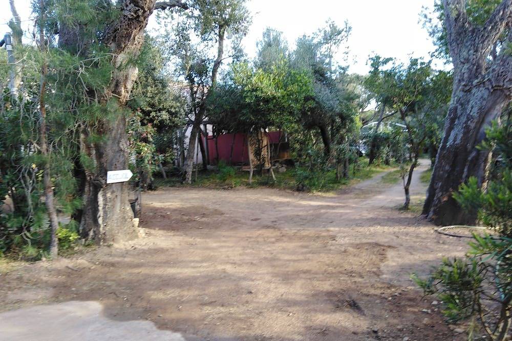 Chambre individuelle avec terrasse, facile accès, proche plage pallombaggia in Porto-Vecchio, Arrondissement de Sartène