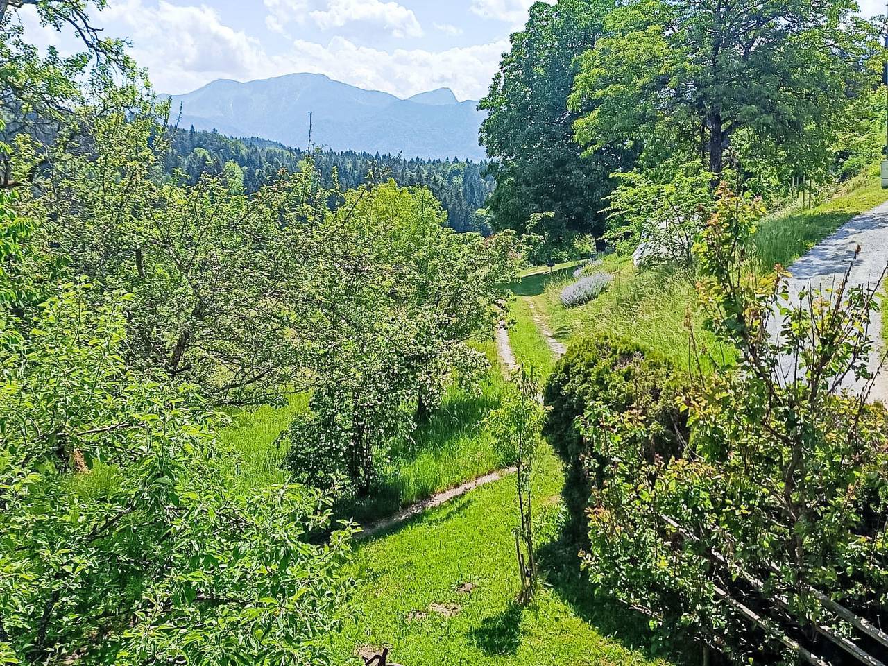 Ganze Wohnung, Idyllische Panorama-Südwohnung in Wörtherseenähe in Schiefling am See, Klagenfurt-Land