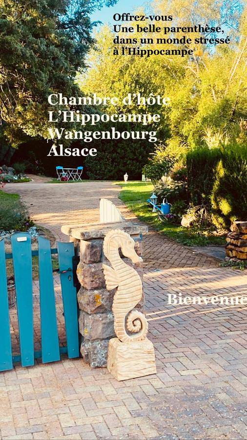 Gîte pour 2 personnes, avec vue ainsi que jardin et sauna à Wangenbourg-Engenthal - 4