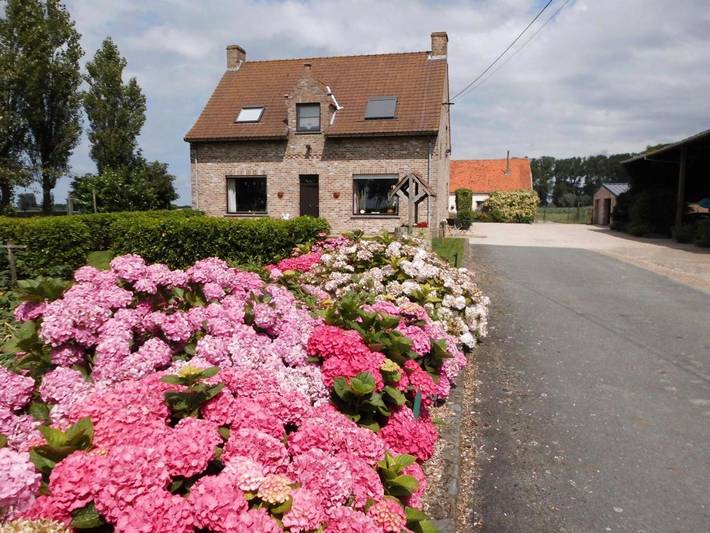 Chambre d’hôte pour 2 personnes, avec jardin et vue à Jabbeke - 4