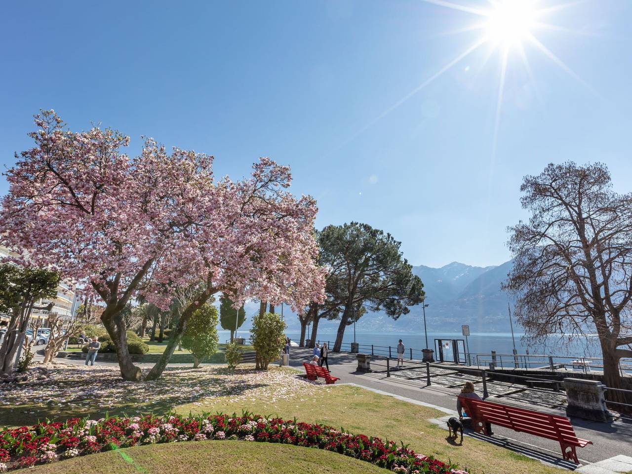 Geheel appartement, Ascona 180 - Da Gina Relax Ascona 180.2 in Ascona, Ticino Alpen en Verbano