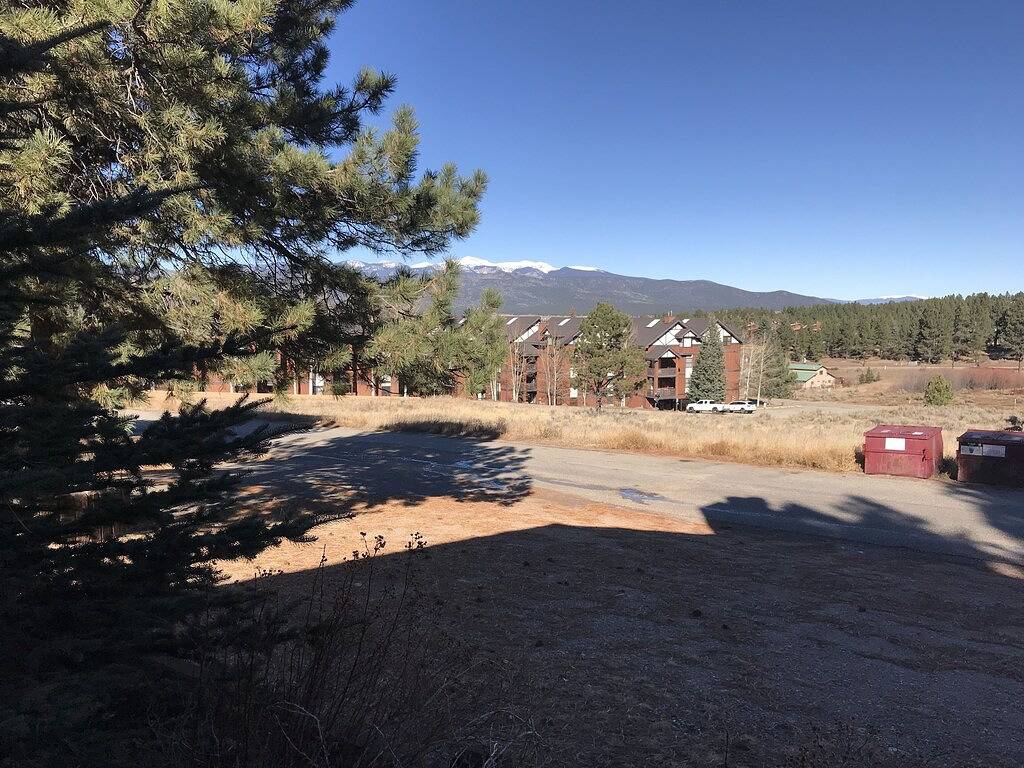 Ganze Wohnung, Zwei Easy Blocks zu Skipisten / Bikepark in Angel Fire, Colfax County