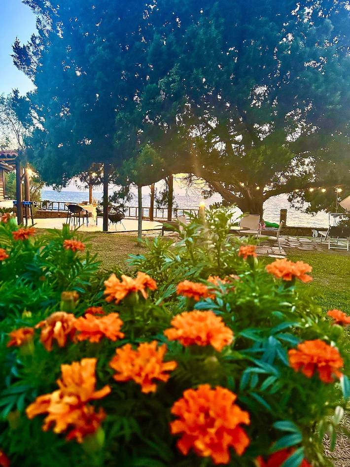 Ferienwohnung für 3 Personen, mit Ausblick und Garten sowie Terrasse, mit Haustier auf den Peloponnes - 2