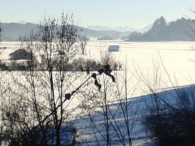 Ferienwohnung für 7 Personen, mit Garten und Terrasse im Ostallgäu - 4