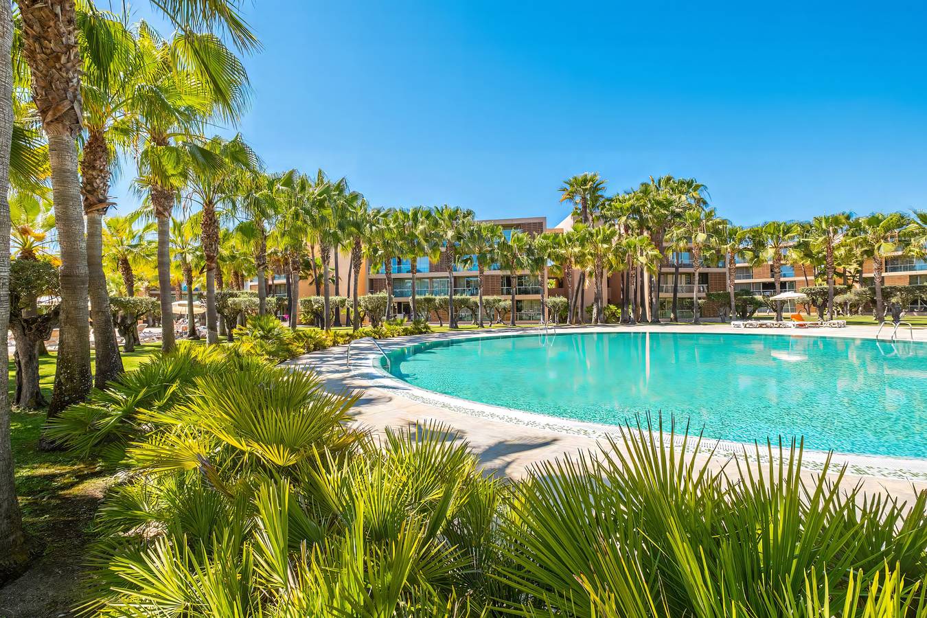 Entire apartment, Apartment Salgados in Guia, Faro District