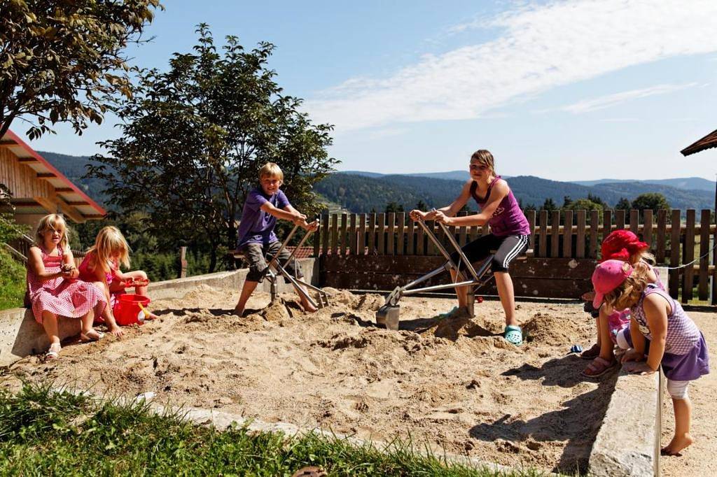 Ganze Wohnung, Erlebnishof Reiner - Doppelzimmer mit Balkon in Sankt Englmar, Ostbayern