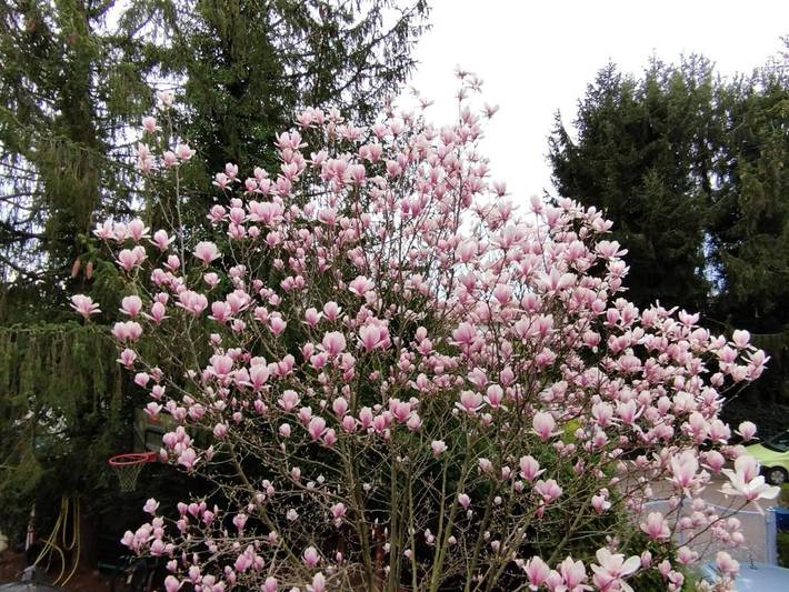 Ferienwohnung für 2 Personen in Dreiländereck - 2