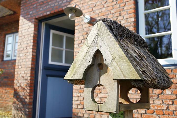 Ferienhaus für 5 Personen, mit Sauna und Terrasse sowie Garten in Oldsum - 2