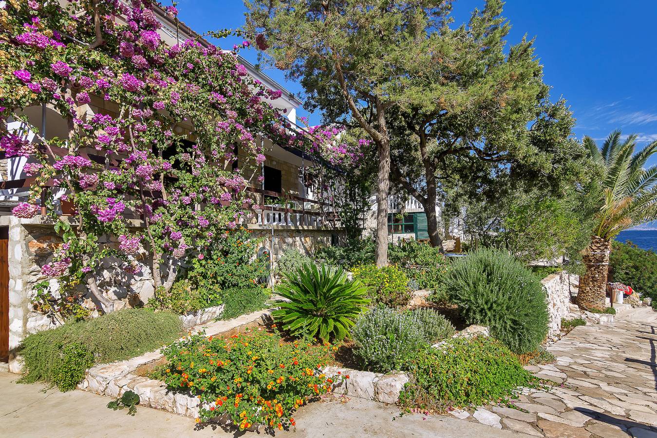 House Sea rose in Hvar