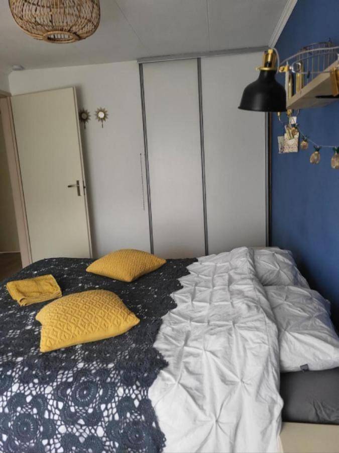 Blauwe Druif in Veghel, Brabant-Septentrional