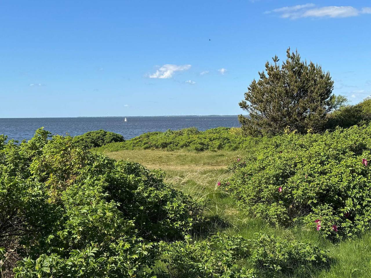 2 Personen Ferienhaus in Tarm in Skaven Strand, Ringkøbing Fjord