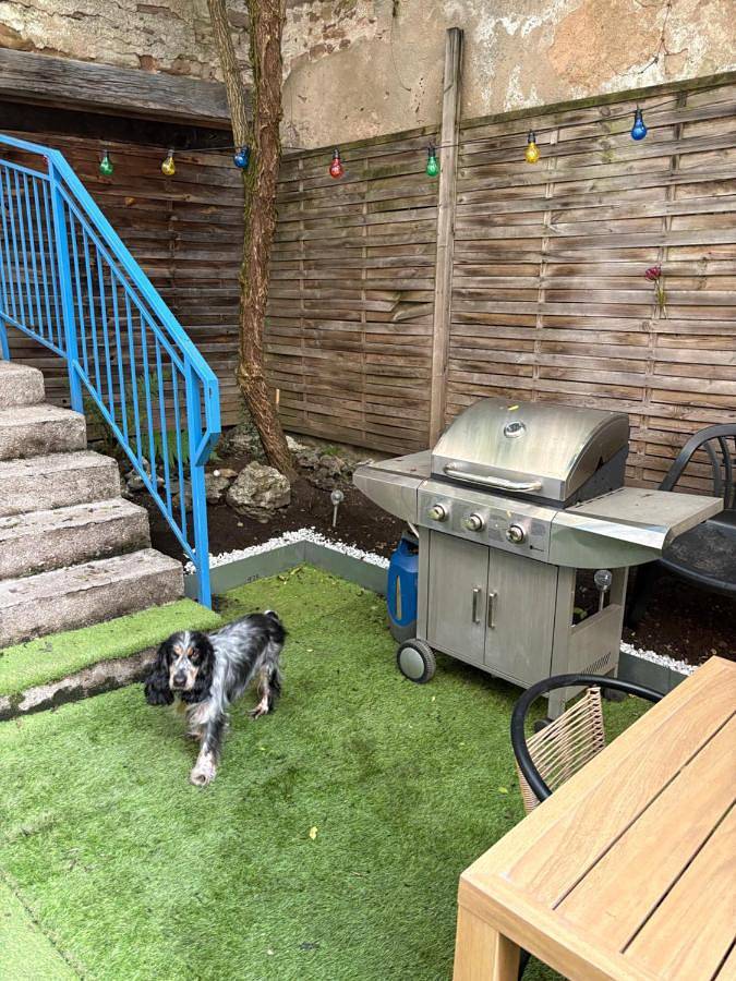 Appartement entier, Appartement très calme avec terrasse 10 personnes Maxi in Rambervillers, Région d'Épinal