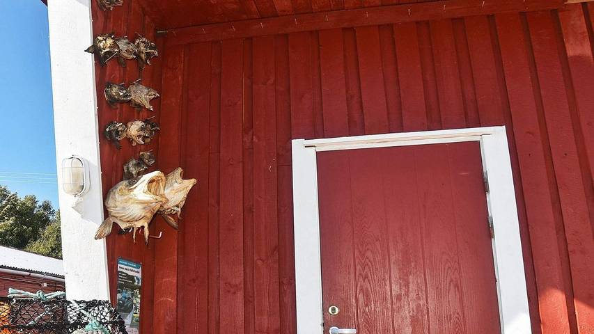 Ferienhaus für 7 Personen, mit Terrasse in Tröndelag - 3