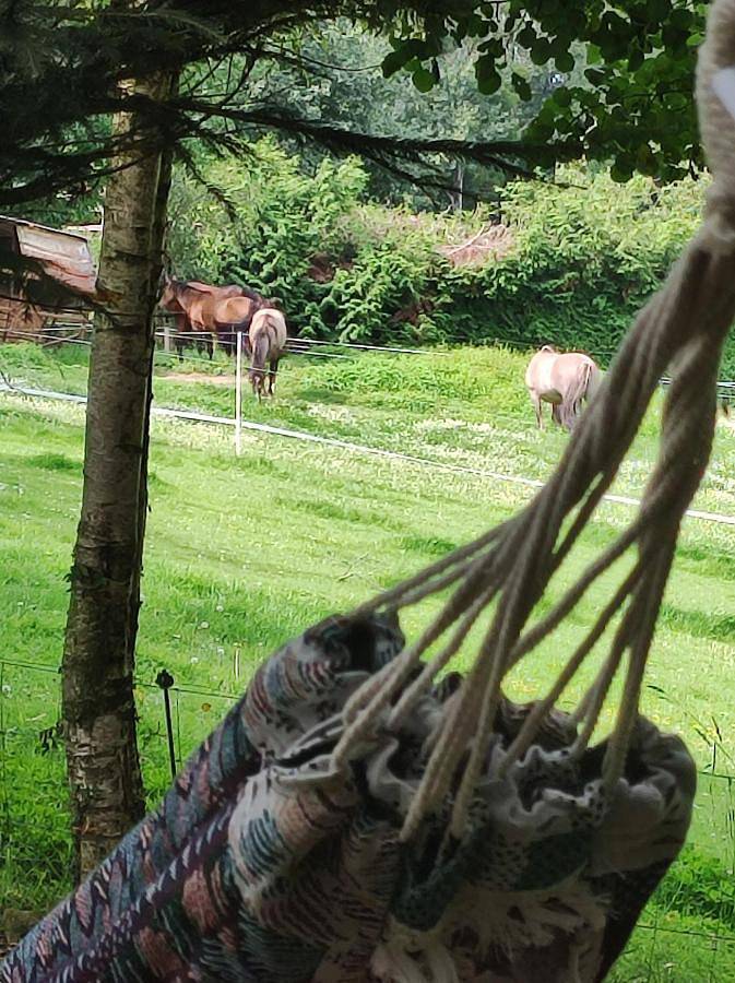 Location de vacances pour 2 personnes à La Chaise-Baudouin - 2