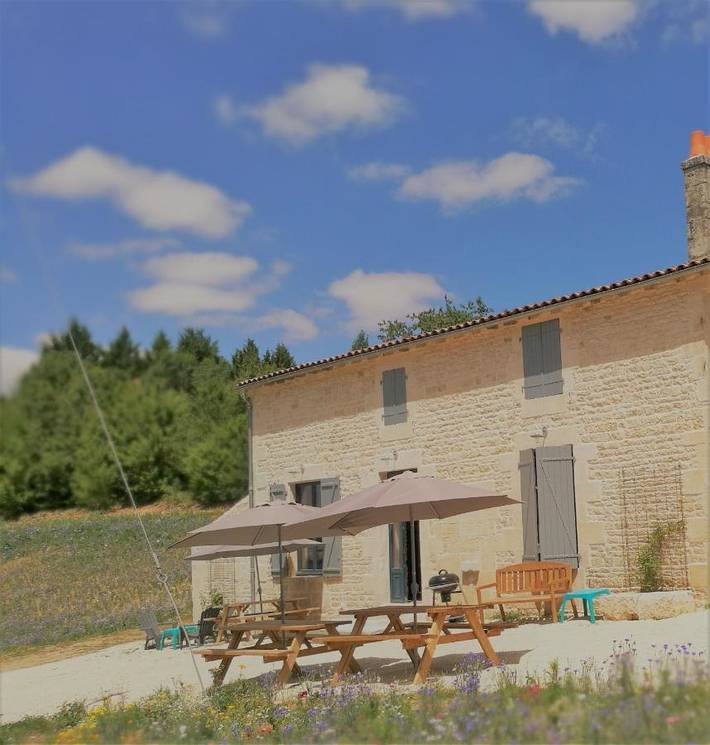 Location de vacances pour 10 personnes, avec jardin ainsi que vue et piscine à Échiré - 4