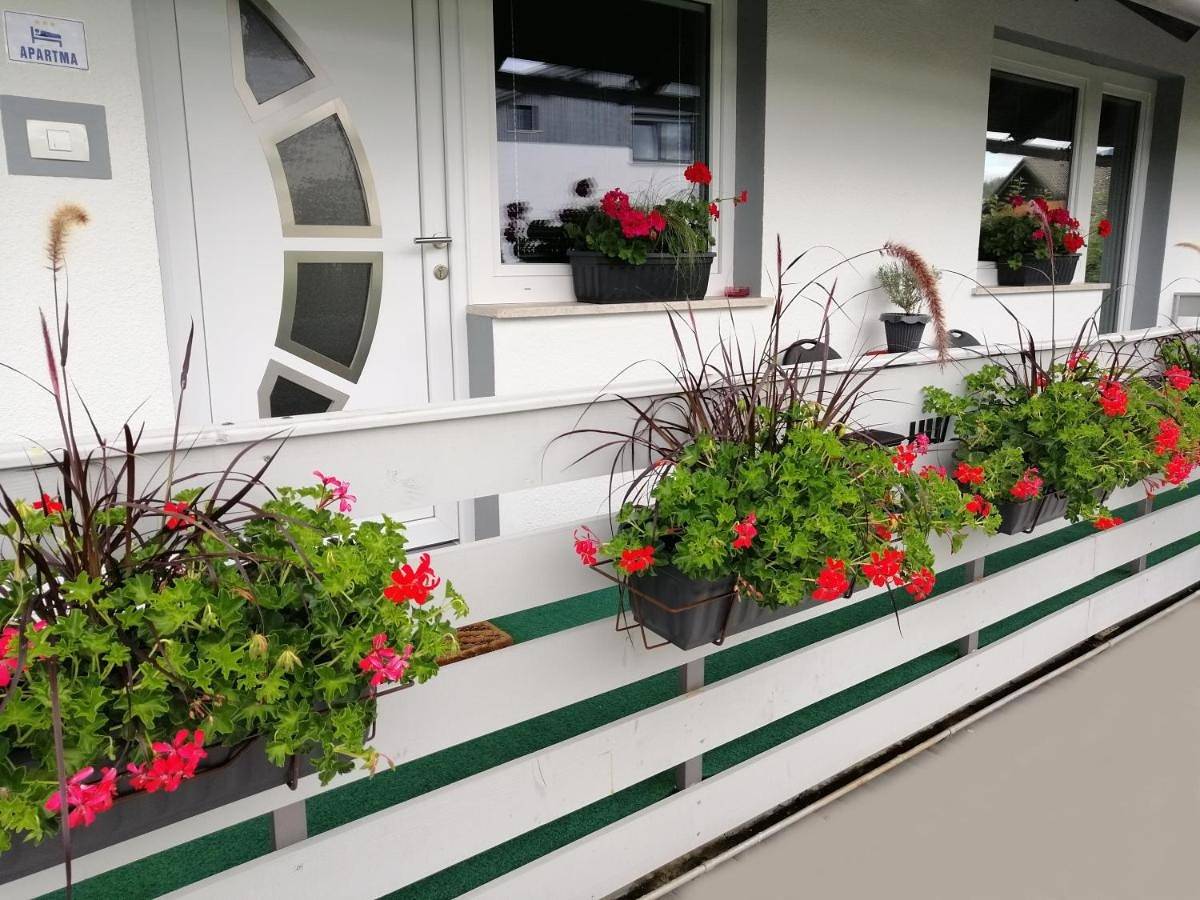 Ganze Wohnung, Apartma Carnica in Bled, Triglav Nationalpark