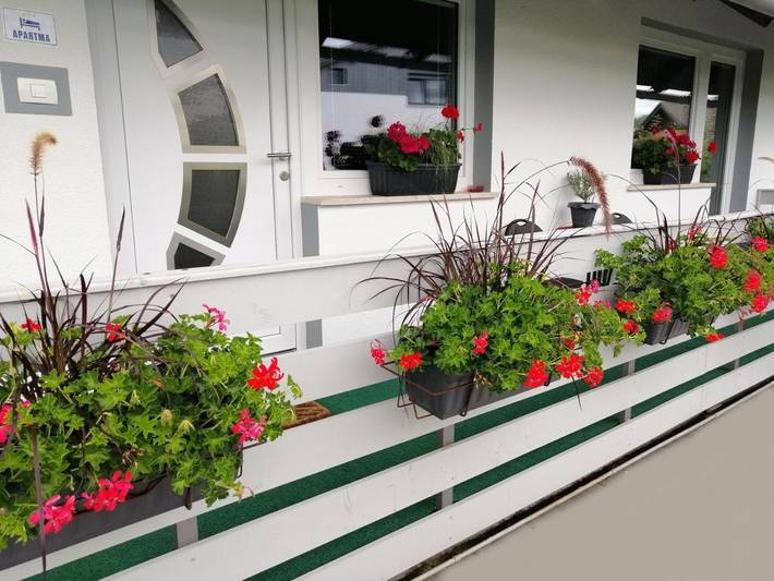 Gîte pour 6 personnes, avec vue et jardin à Bled - 3