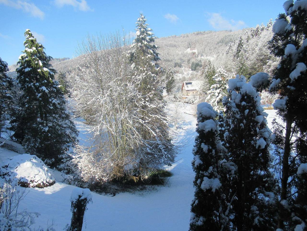 Gästehaus Waldblick - Doppelzimmer mit Wc und Dusche (Waldseite)  Das Kleine Feine in Ettenheim, Hochschwarzwald