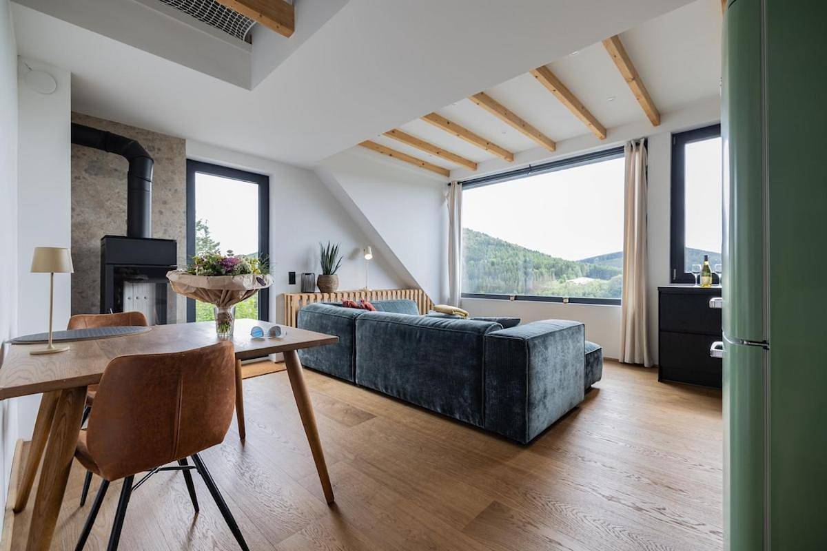 Ganze Wohnung, Moderne Atelierwohnung, Blick auf See und Skigebiet in Niedersfeld, die Mittelgebirge