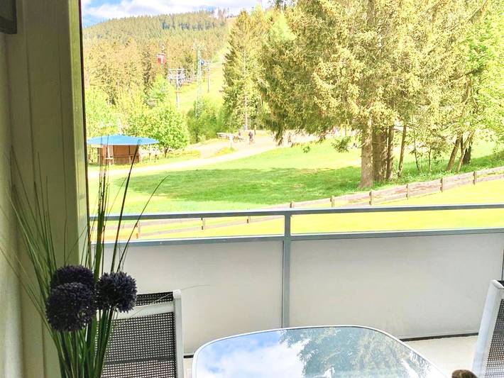 Hütte für 3 Personen, mit Balkon, kinderfreundlich in Hahnenklee - 4