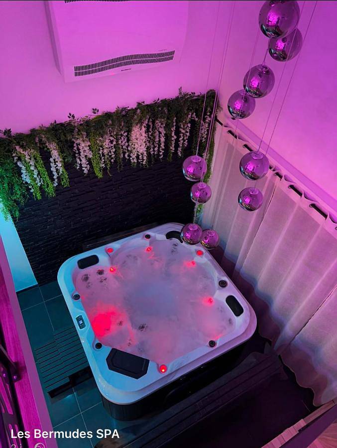 Location de vacances pour 3 personnes, avec Jacuzzi et Terrasse dans Wasnes-au-Bac