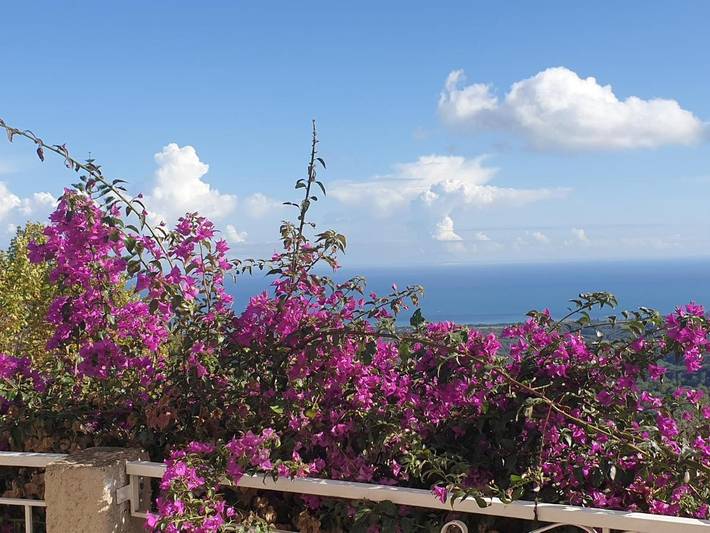 Chambre d’hôte pour 2 personnes, avec vue ainsi que jardin et terrasse à Valle-di-Campoloro