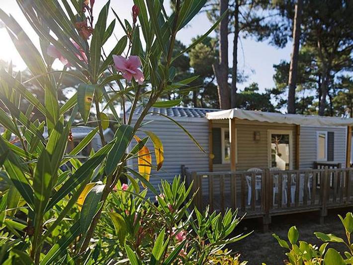 Mobil home pour 4 personnes, avec sauna à Saint-Trojan-les-Bains - 4