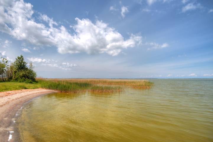 Ferienhaus am Saaler Bodden in Neuendorf (Bei Saal), Saal