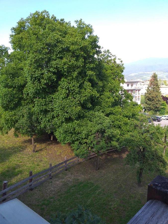 Double or Twin Room with Terrace in Cles, Massif de Brenta