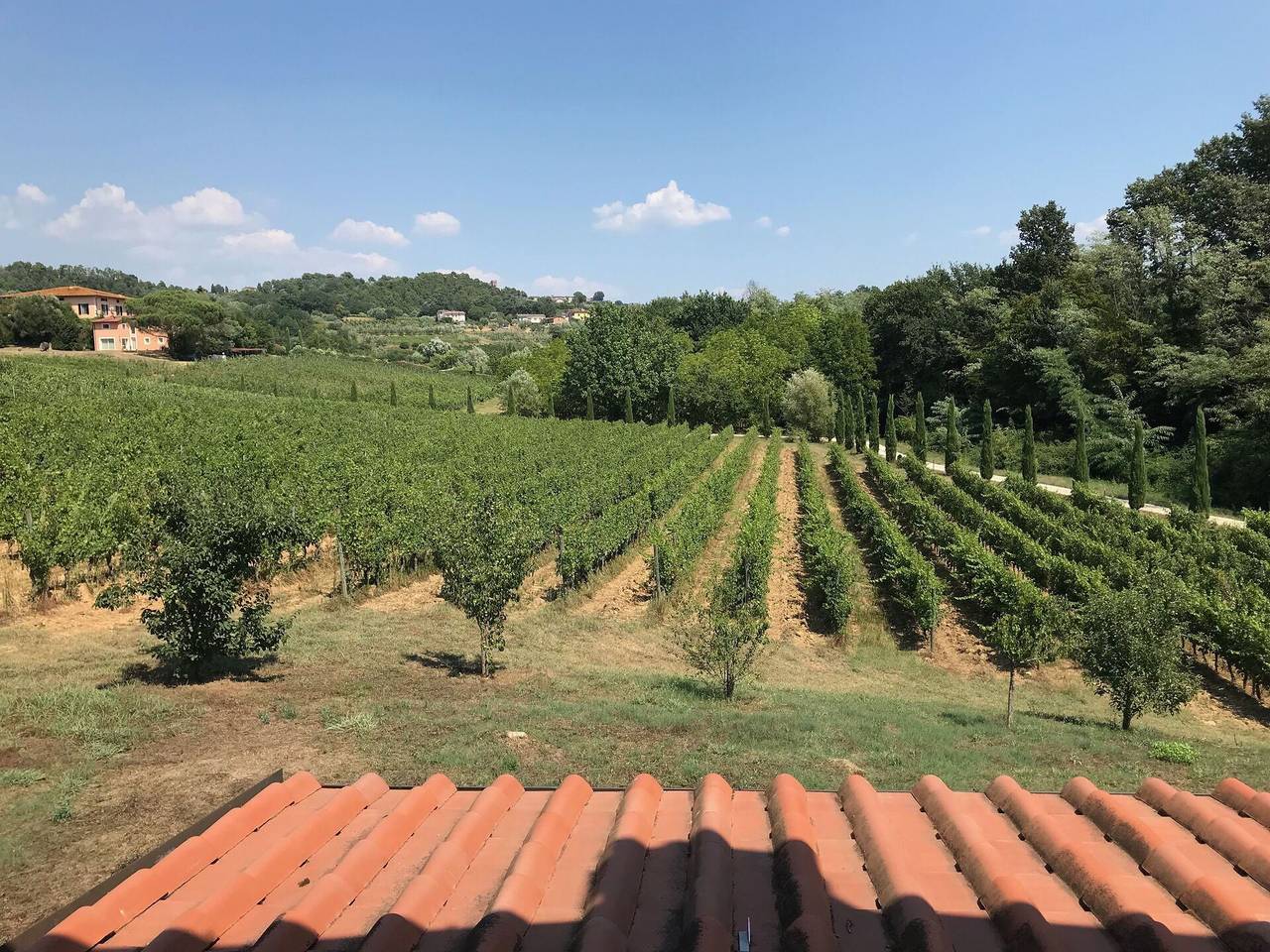 Villa pour 5 personnes avec terrasse in Montecarlo (Toscane), Province de Lucca