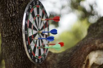 Dom dla 5 osoby w Vela Luka, Korčula, Zdjęcie 2