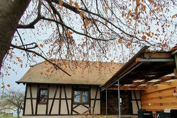 Location de vacances pour 8 personnes, avec jardin à Baldenheim