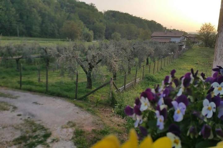 Location de vacances pour 9 personnes, avec jardin et piscine ainsi que bassin pour enfant et vue à Arpino - 4