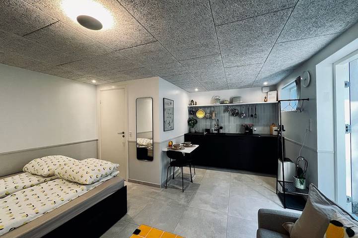 Ganze Wohnung, New Cozy Basement Studio Apartment! in Rødovre, Hovedstaden