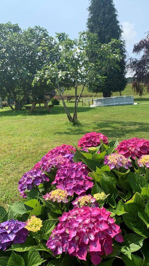 Apartamento de vacaciones para 5 personas, con piscina para niños y piscina además de jardín y vistas, Familias con niños en Asturias - 4