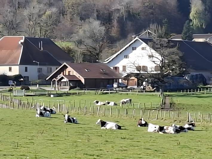 Chambre d’hôte pour 2 personnes, avec Jardin dans le Doubs - 3