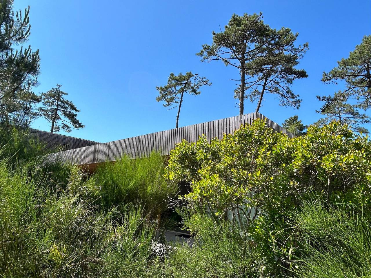 Architektenhaus - La Maison Pinède - Contis - 800m v. Atlantik - Natur pur in Lit-et-Mixe, Côte d’Argent