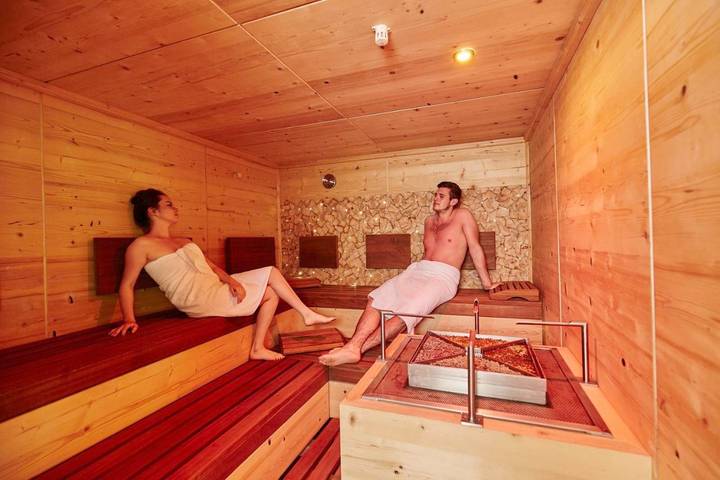 Ferienwohnung für 6 Personen, mit Balkon und Terrasse sowie Garten und Sauna in Lunz am See - 2