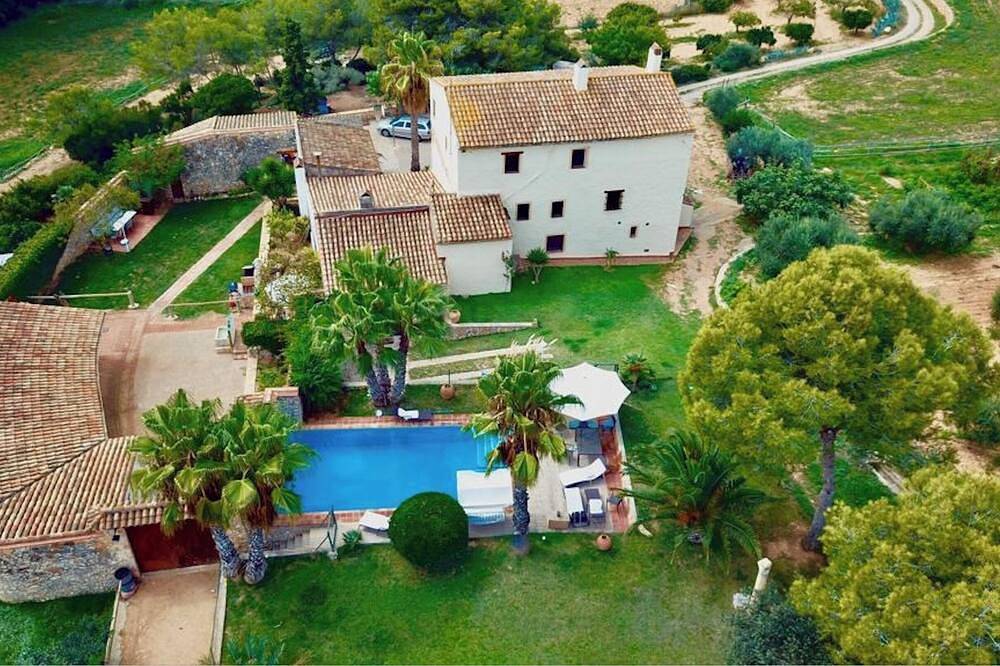 Ferien auf dem Land inmitten von Olivenbäumen , Weinreben und Pferden in Alt Penedès, Penedes DO