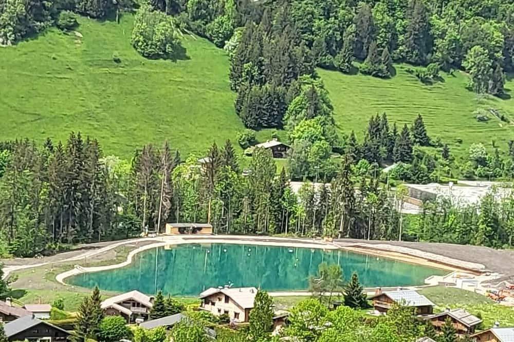 Chalet pour 11 Personnes dans Praz-sur-Arly, Espace Diamant