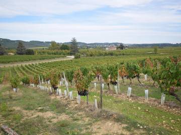 Maison De Vacances pour 10 Personnes dans Vire-sur-Lot, Quercy, Photo 4