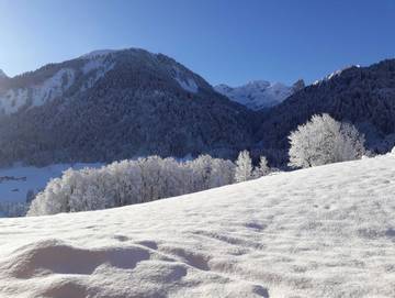 Ferienwohnung für 2 Personen in Schoppernau, Allgäuer Alpen (Österreich), Bild 4