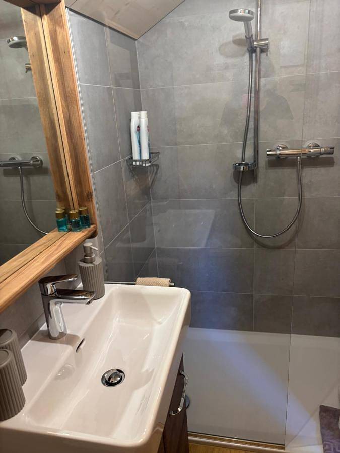 Chambre d’hôte pour 4 personnes, avec vue ainsi que jardin et terrasse à Château-d' Œx - 4