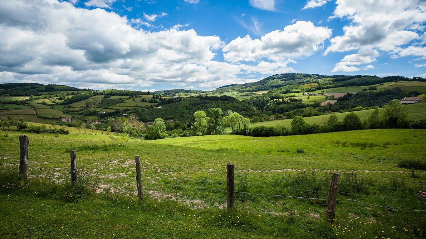 La Ferme du Planet - Chambre La Forêt in Deux-Grosnes, Région de Villefranche-sur-Saône