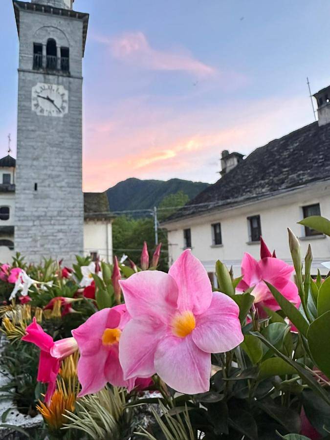 Gîte pour 3 personnes, avec vue et terrasse, animaux acceptés dans Anzino