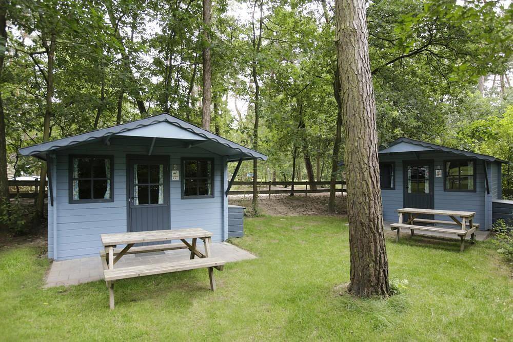 Cabane en bois pour 4 personnes avec piscine in Bergeijk, Brabant-Septentrional