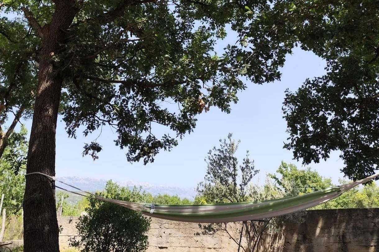 Comfortable and spacious house with terrace Posedarje, Novigrad K-23578 in Novigradsko More, Zadar
